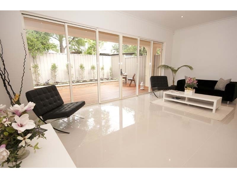 9 Olive Street, Parkside SA 5063