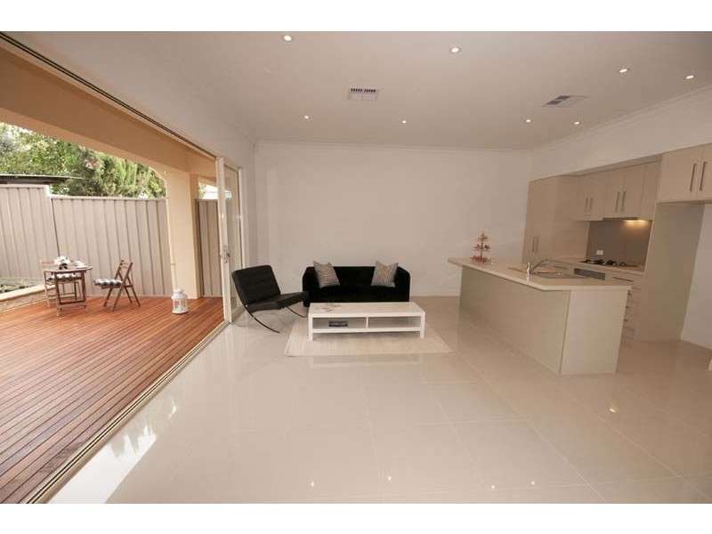 9 Olive Street, Parkside SA 5063