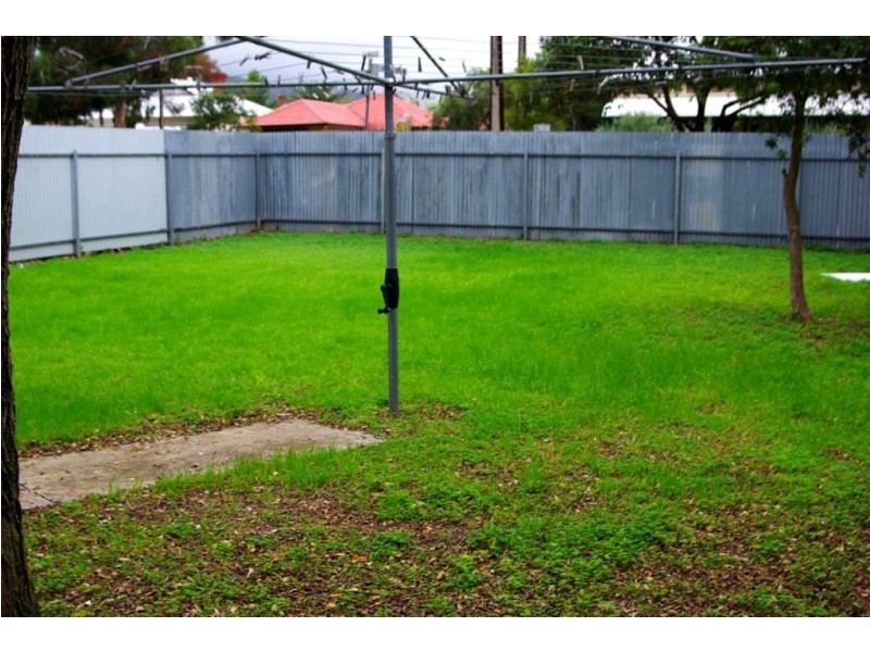 19 Olive Street, Parkside SA 5063