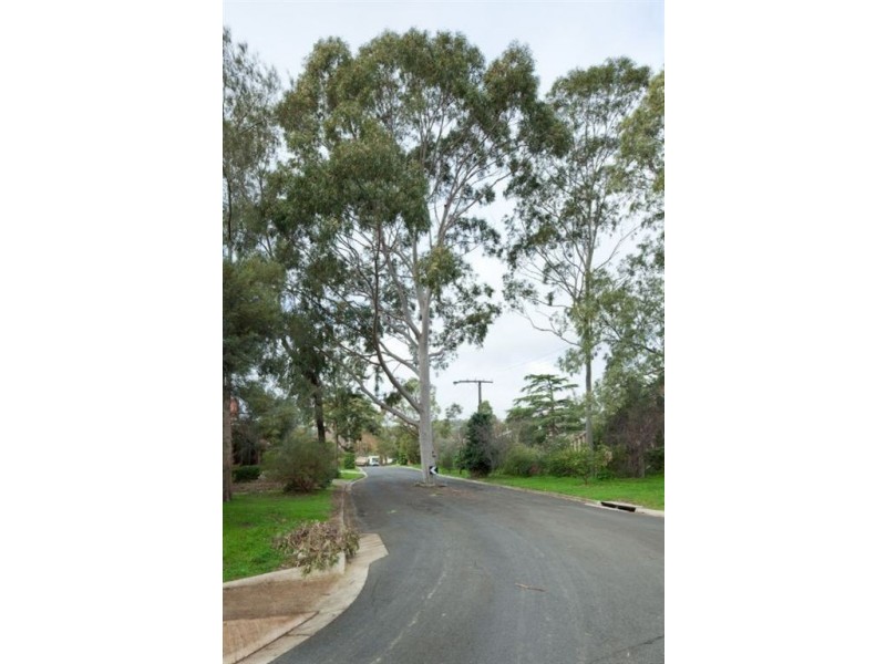 5 Wood Grove, Hazelwood Park SA 5066