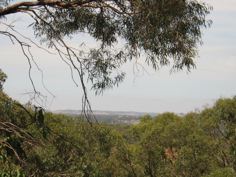 8 Oratava Avenue, Bridgewater SA 5155