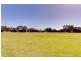 31 Verdale Avenue, Linden Park SA 5065