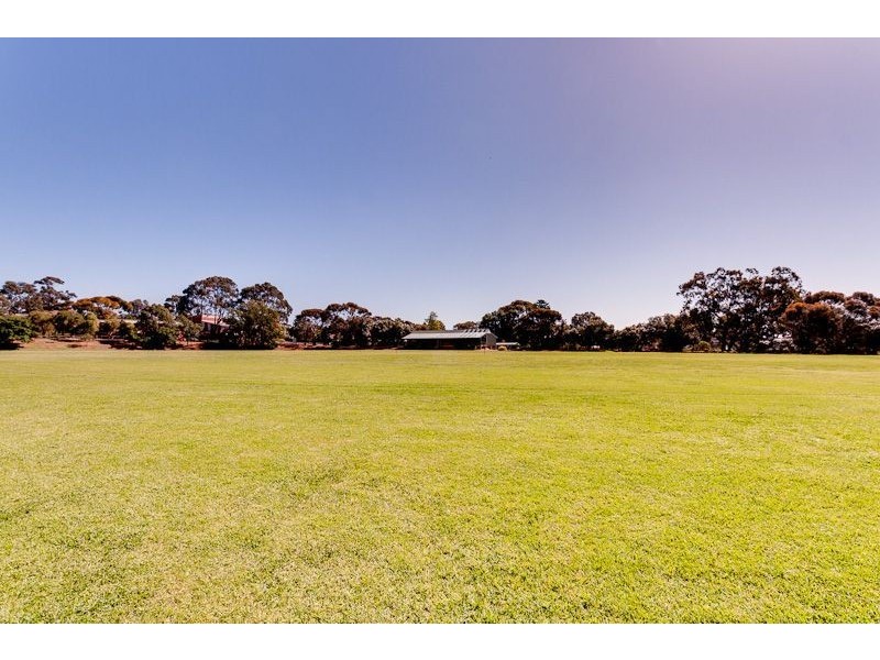 31 Verdale Avenue, Linden Park SA 5065