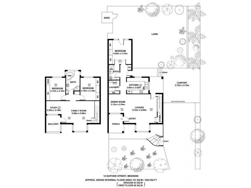 12 Daphne Street, Medindie SA 5081