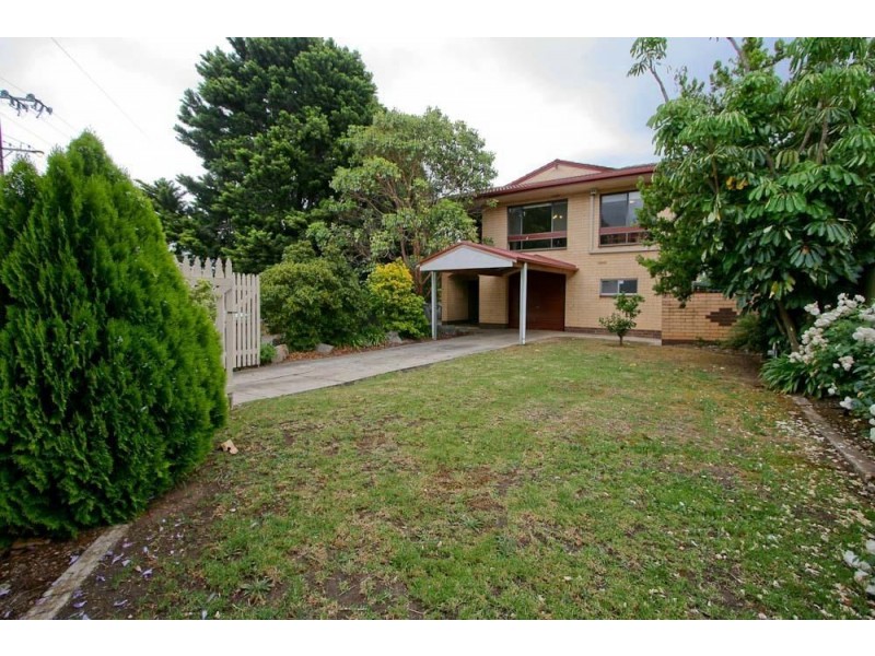 4/14 Avenue Road, Frewville SA 5063