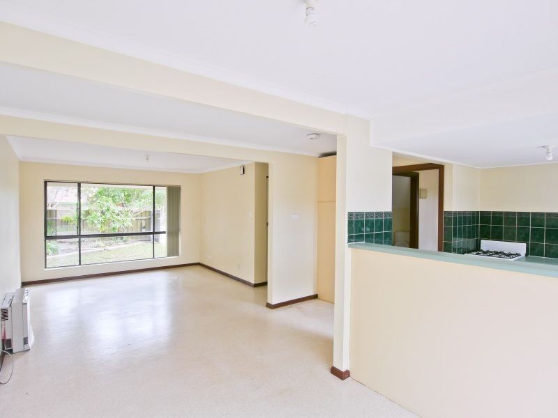 8 Boronia Court, Paradise SA 5075