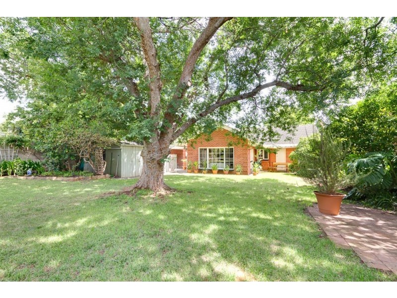 24 Pepper Street, Magill SA 5072