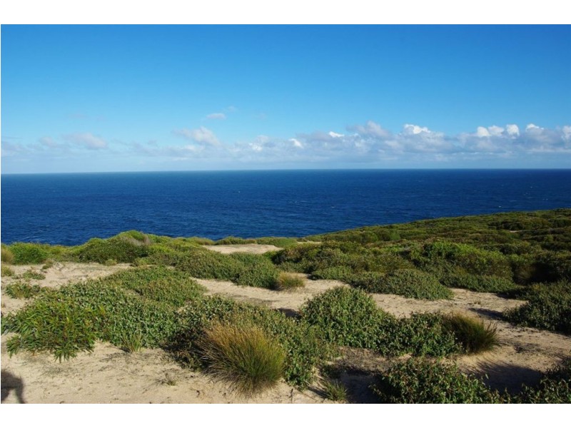 Lot 4 Cape Hart Road, Porky Flat SA 5222