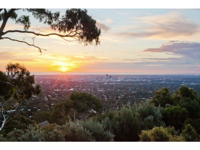 707 Greenhill Road, Burnside SA 5066