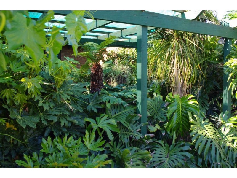 19 Leslie Avenue, Blair Athol SA 5084