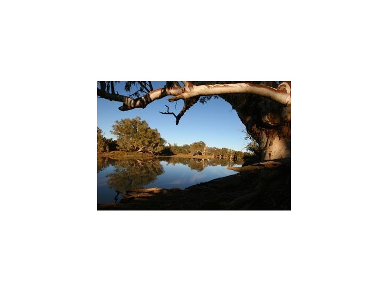 Lot 4 Aruma, Walker Flat SA 5238