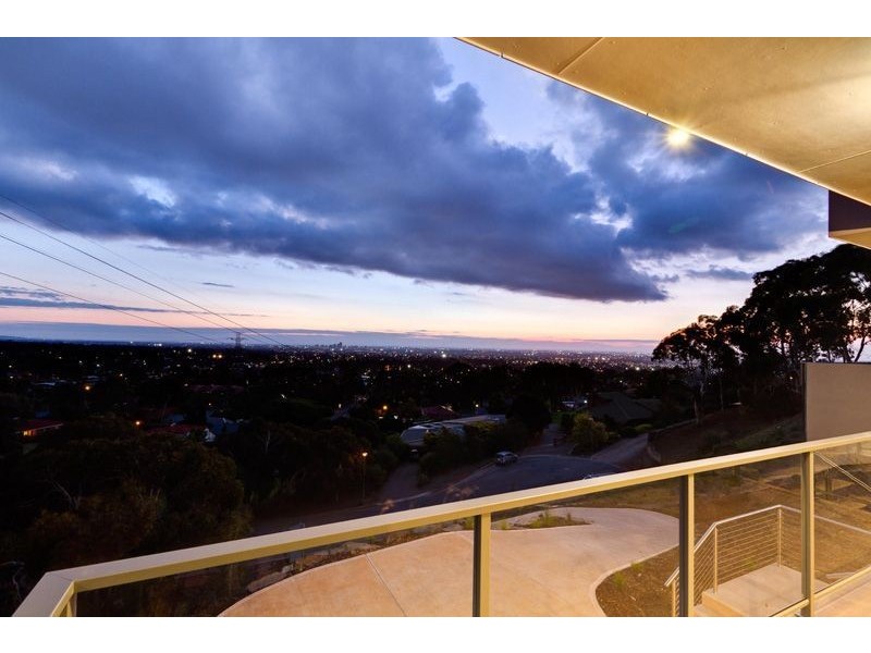 20 Langman Drive, Teringie SA 5072