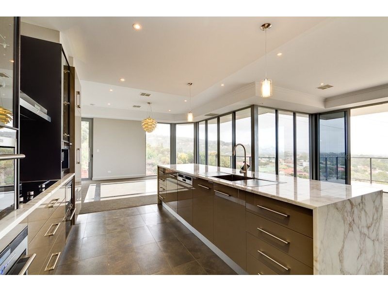 20 Langman Drive, Teringie SA 5072