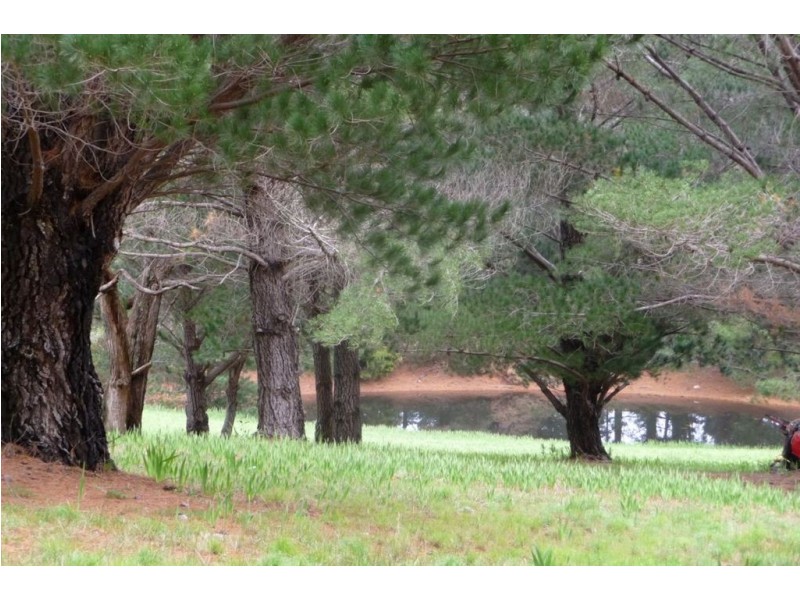 Lot 37 Range View Drive, Carey Gully SA 5144