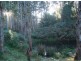 Lot 10 Wissell Street, Bridgewater SA 5155