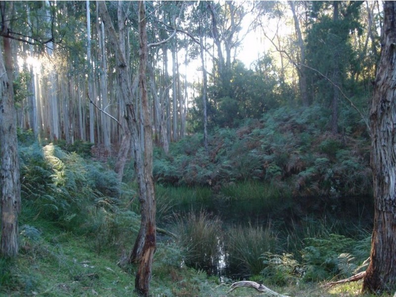 Lot 10 Wissell Street, Bridgewater SA 5155