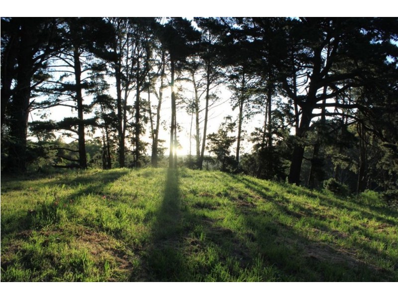 Crafers West SA 5152