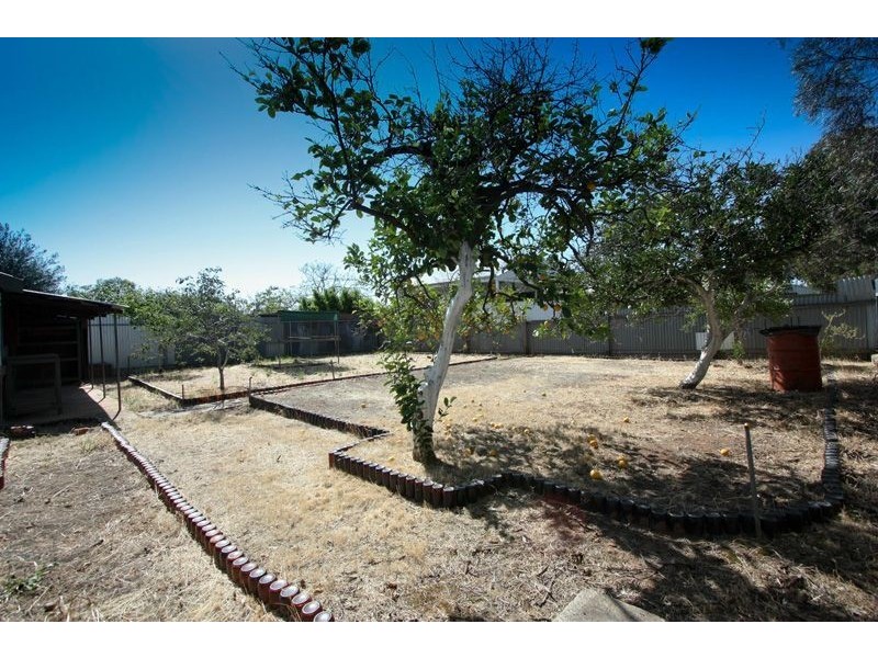 58 Morgan Avenue, Daw Park SA 5041