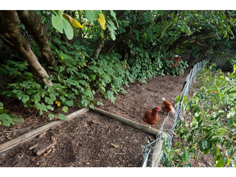 7 Euston Avenue, Highgate SA 5063