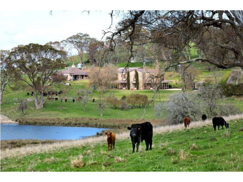 250 Peggy Buxton Road, Brukunga SA 5252