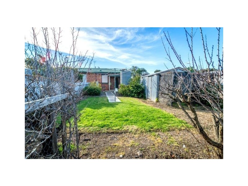 16 Dalby Avenue, Morphettville SA 5043