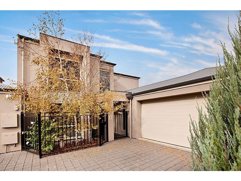 8 Belgrave Court, Parkside SA 5063