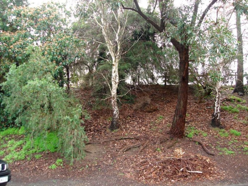 8 (Lot 4) Dearman Road, Lobethal SA 5241