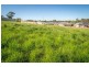 69 Hampden Way, Strathalbyn SA 5255
