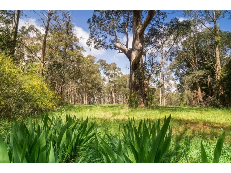 Lot 102 Mt Lofty Summit Road, Crafers SA 5152