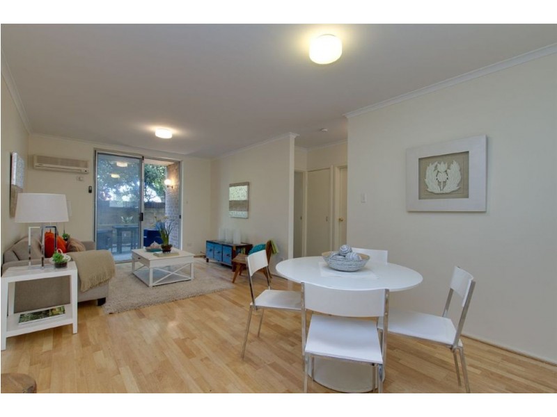 1/172 Archer Street, North Adelaide SA 5006