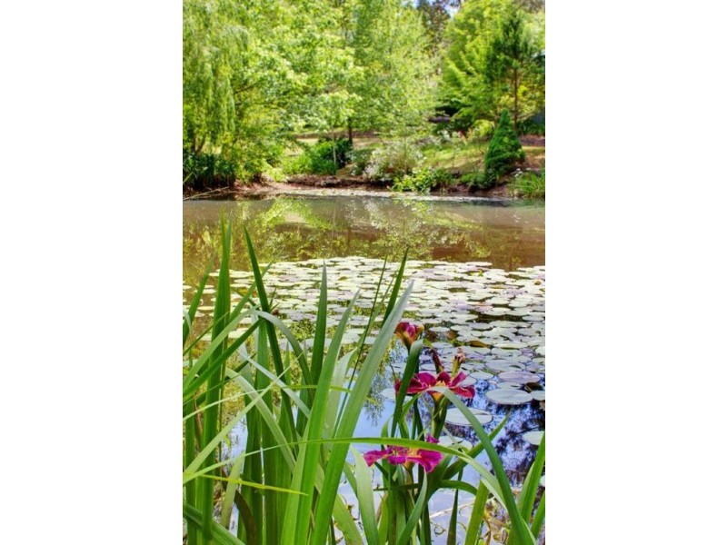 89 Gully Road, Carey Gully SA 5144