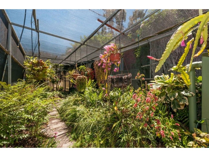 3 Narina Way, Aberfoyle Park SA 5159