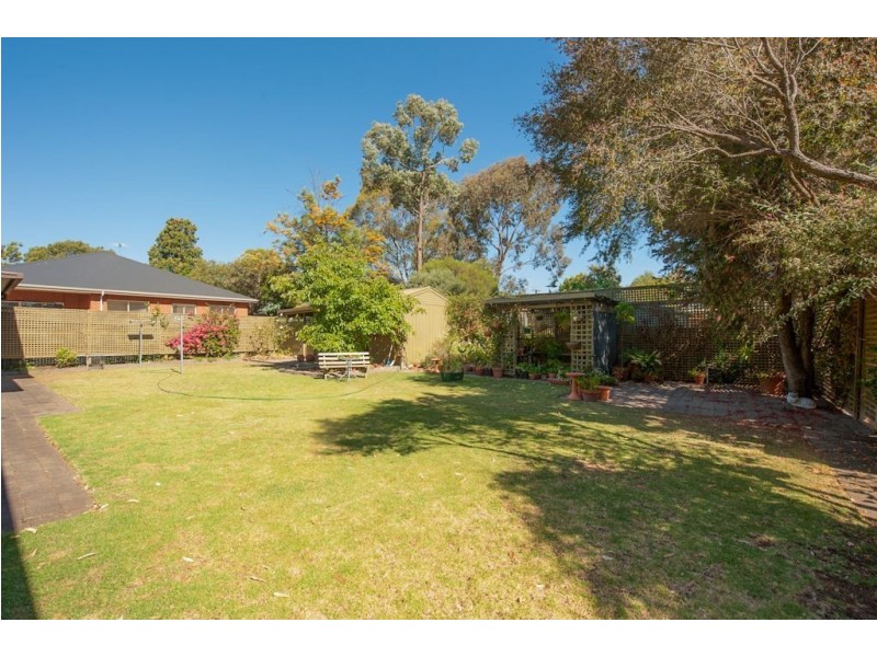 1C Francis Avenue, Fullarton SA 5063