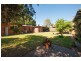 1C Francis Avenue, Fullarton SA 5063