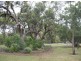 4 Wilaroo Avenue, Beaumont SA 5066