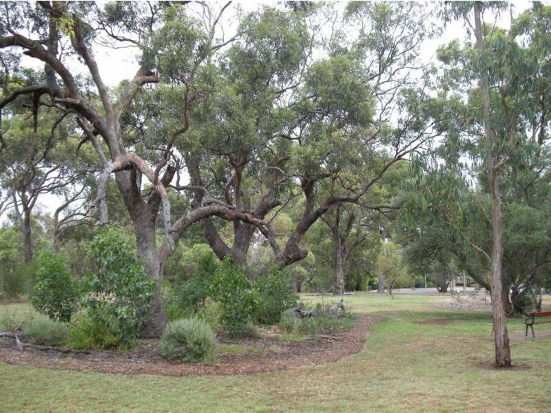 4 Wilaroo Avenue, Beaumont SA 5066