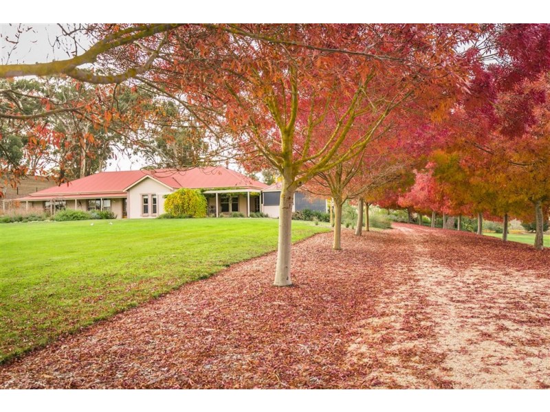 237 Jungfer Road, Charleston SA 5244