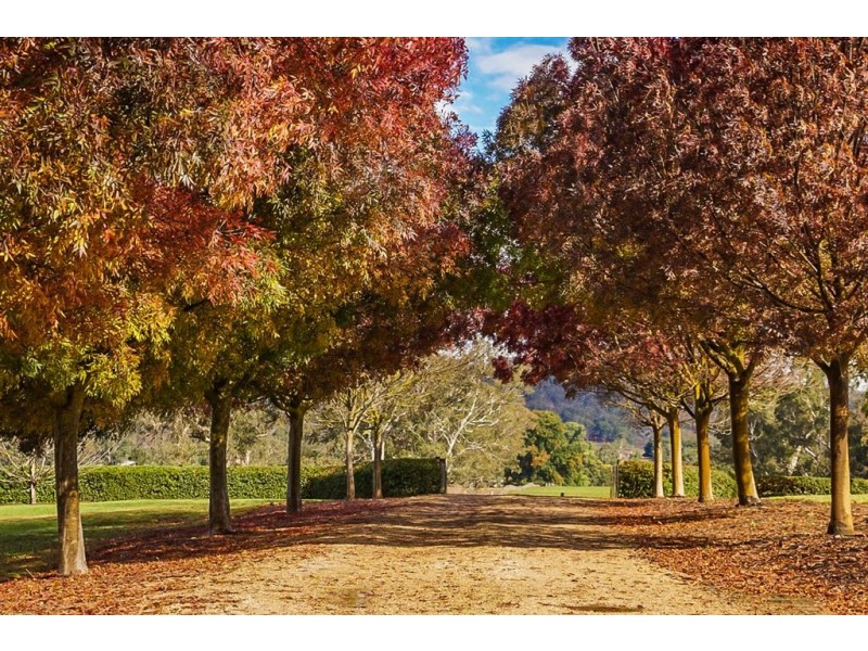 237 Jungfer Road, Charleston SA 5244