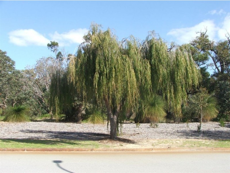 26 Forillion Avenue, Bibra Lake WA 6163