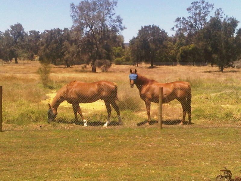 30 Gallagher Way, Cardup WA 6122