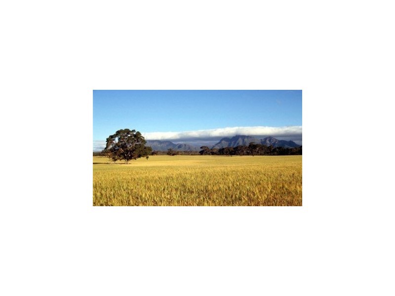 Lot 836 Newdegate Road, Kendenup WA 6323