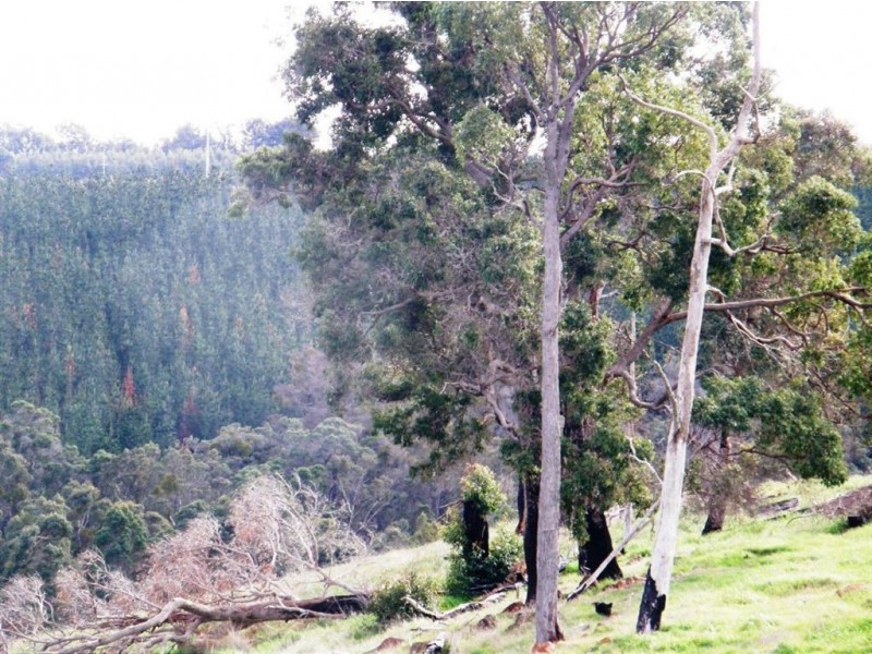 Lot 11 Sunridge Drive Four Seasons Estate, Bridgetown WA 6255