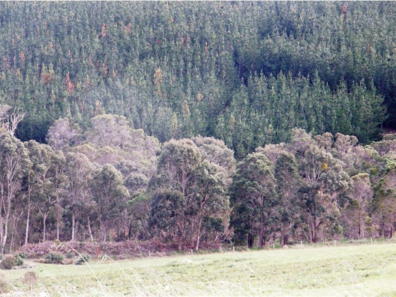 Lot 11 Sunridge Drive Four Seasons Estate, Bridgetown WA 6255