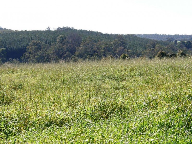 Lot 21 Sunridge Drive Four Seasons Estate, Bridgetown WA 6255