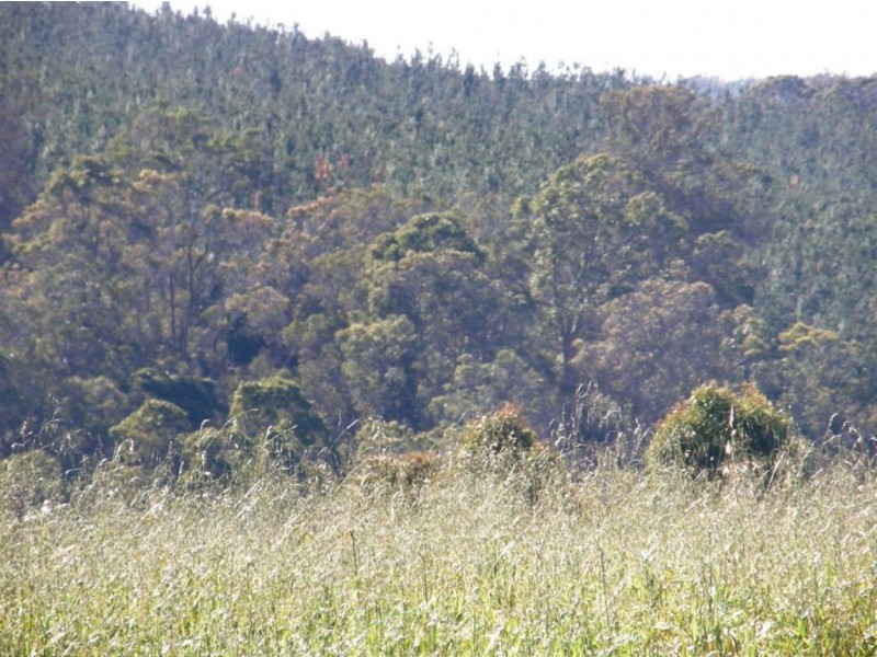 Lot 21 Sunridge Drive Four Seasons Estate, Bridgetown WA 6255