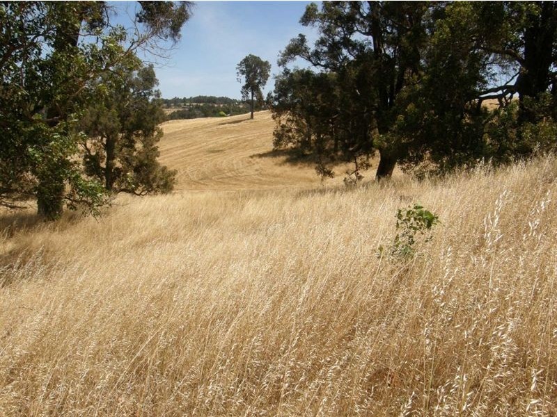 Lot 38 Sunridge Drive Four Seasons Estate, Bridgetown WA 6255