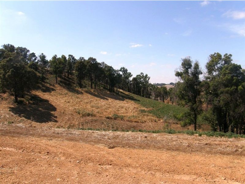 487 Riverview Close, Bridgetown WA 6255