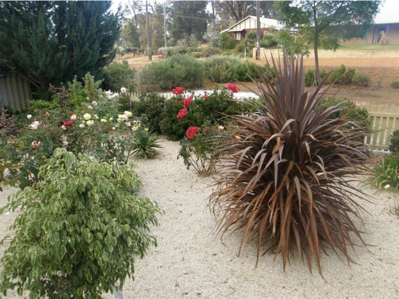 85 Telluride Street, Greenbushes WA 6254