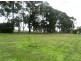 Lot 182 Tweed Road, Bridgetown WA 6255
