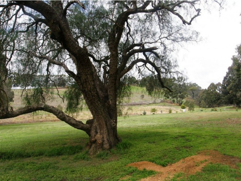 Lot 182 Tweed Road, Bridgetown WA 6255